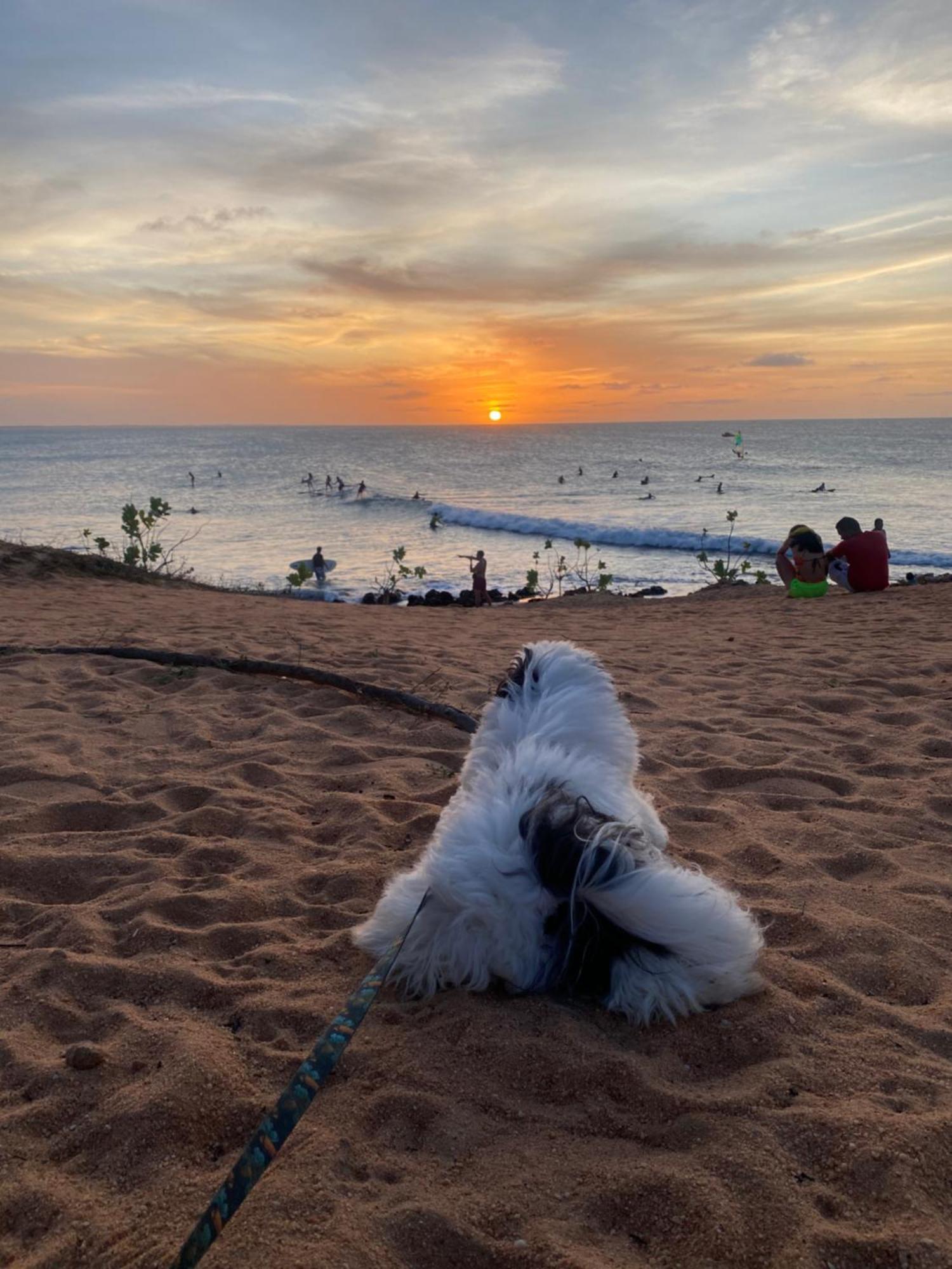 Pousada Ravana Jijoca de Jericoacoara Buitenkant foto